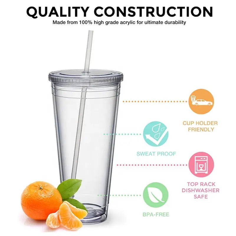 22oz Classic Insulated Double Wall Plastic Drinking Tumbler Cup with Lid and Reusable Straw